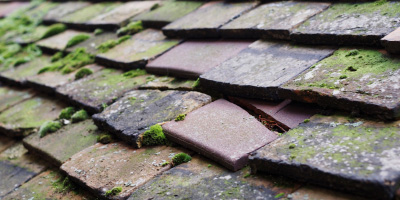 Camber roof repair costs